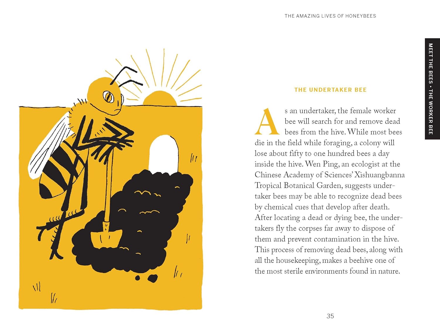 Pocket Nature: Beekeeping, explore the Marvelous World of Honeybees