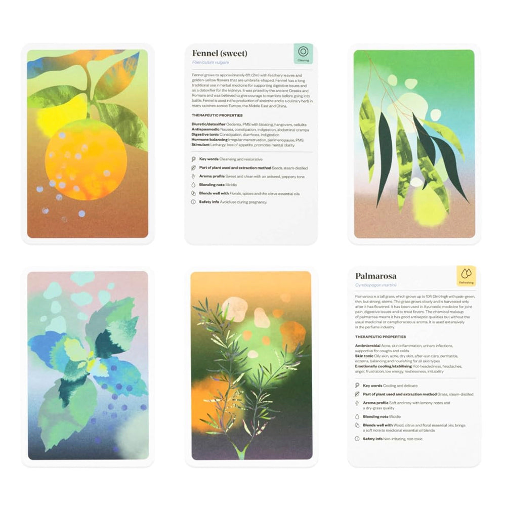 Aromatherapist in a Box: A Card Set of Therapeutic Essential Oils