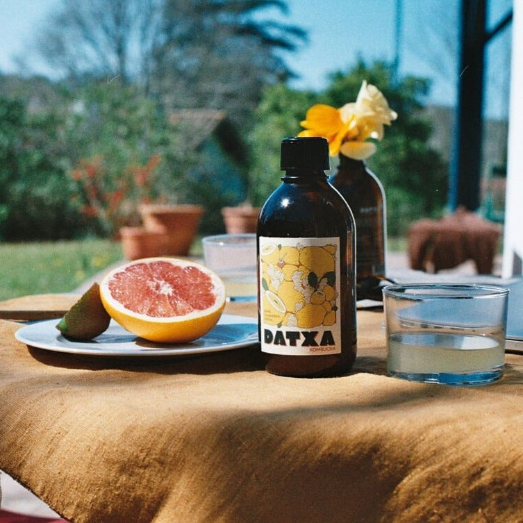 Kombucha Orgánica - Jengibre & Limón