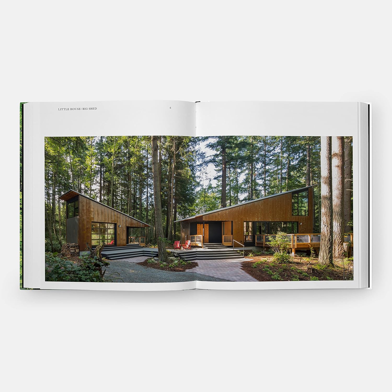 Living in the Forest: Contemporary Houses in the Wood