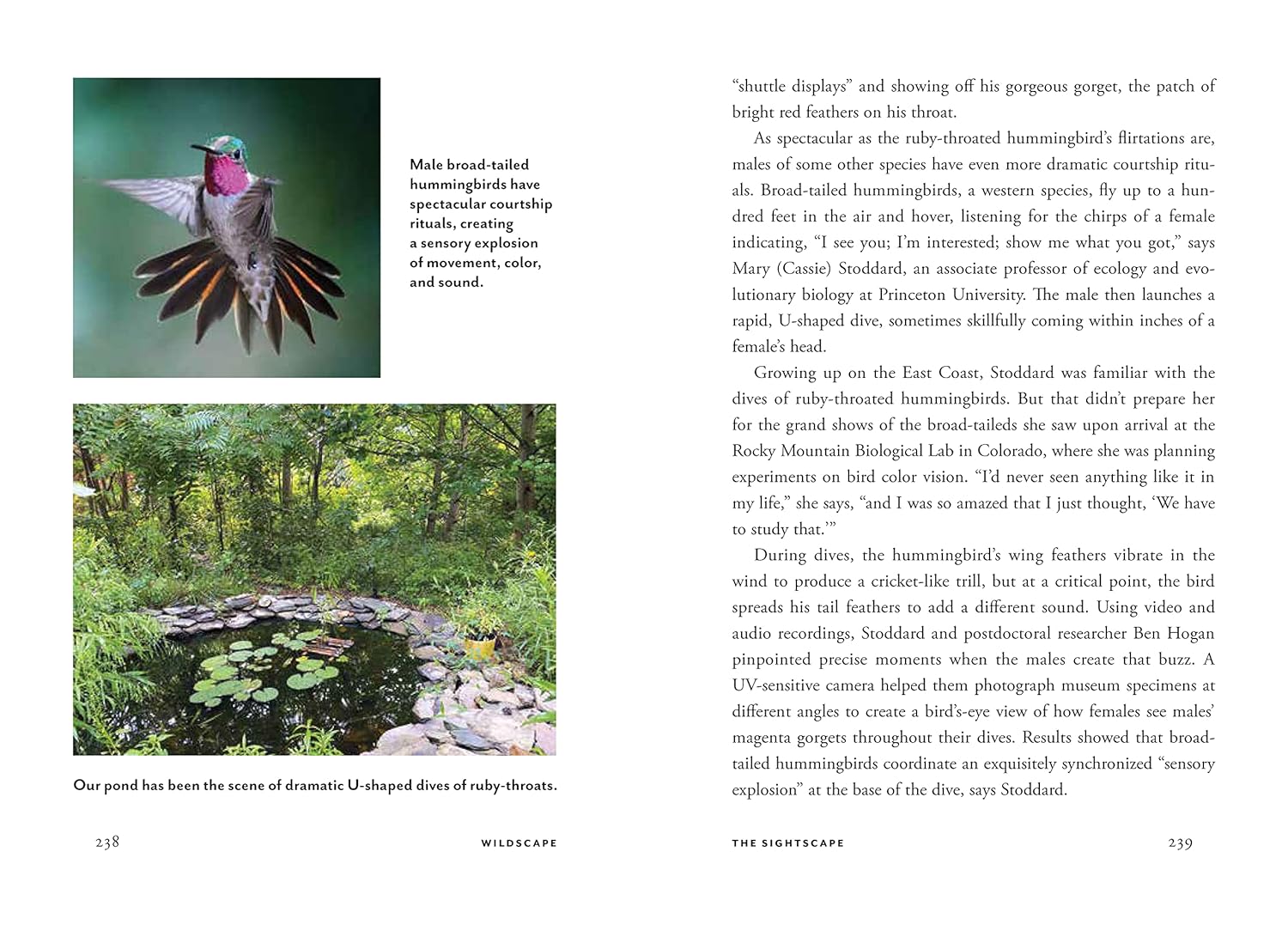 Wildscape - Trilling Chipmunks, Beckoning Blooms, Salty Butterflies, and other Sensory Wonders of Nature